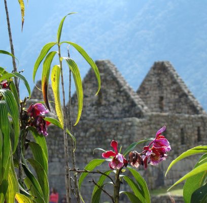 machu-picchu-2471343_1280